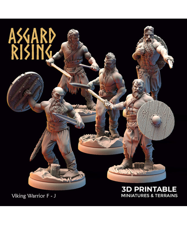 Viking Warriors