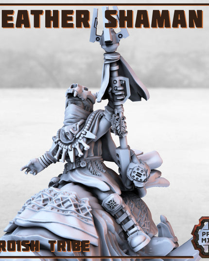 Weather Shaman - Erroish People