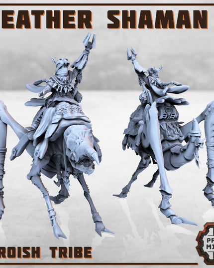 Weather Shaman - Erroish People