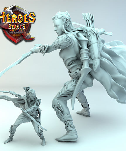 Female wood Elf ( with daggers)