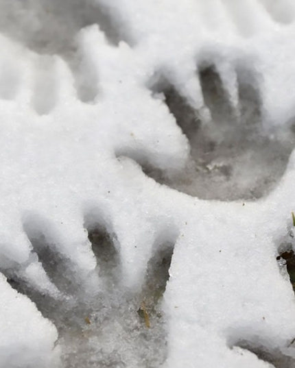 AK AK8037 Ice Sparkles 100ml