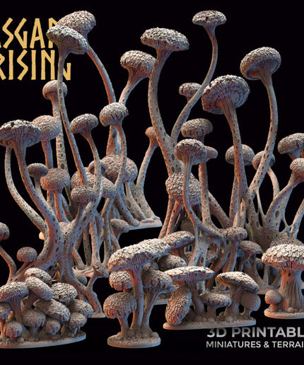 Amanita Fungi Forest