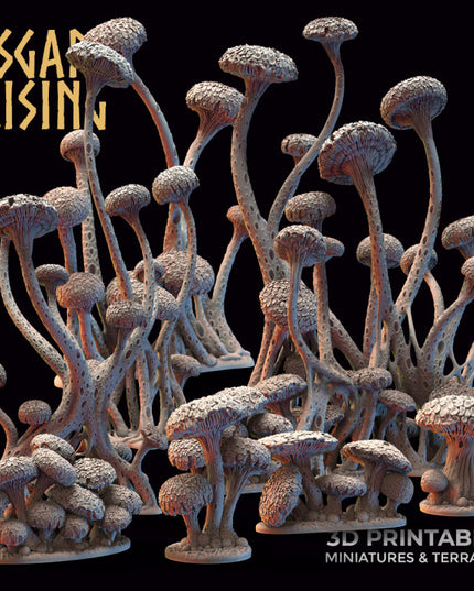 Amanita Fungi Forest