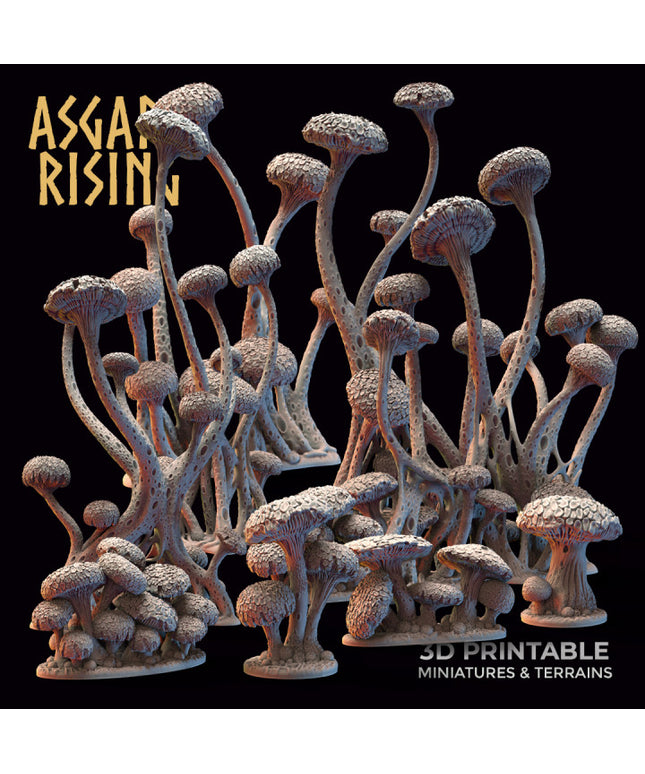 Amanita Fungi Forest