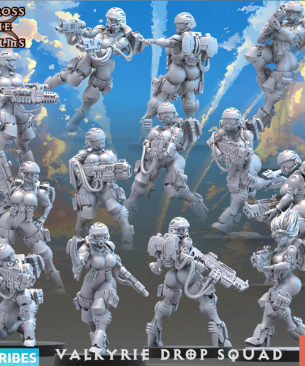 Valkyrie Drop Squad & Robo Turtle