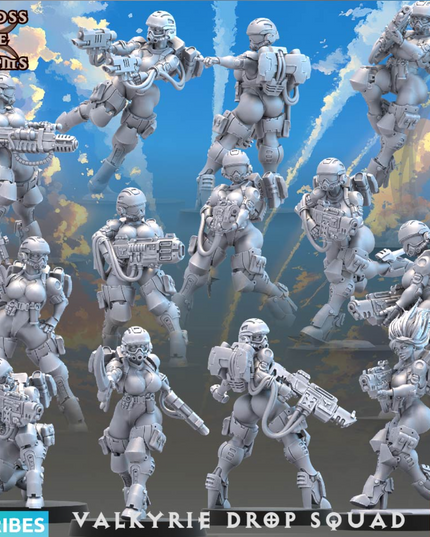 Valkyrie Drop Squad & Robo Turtle