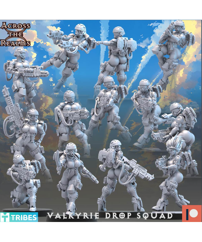 Valkyrie Drop Squad & Robo Turtle