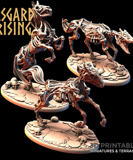 Druagr Skeleton Horses