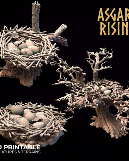 Giant Bird Nests