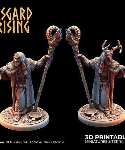 Hofgothi the Seer