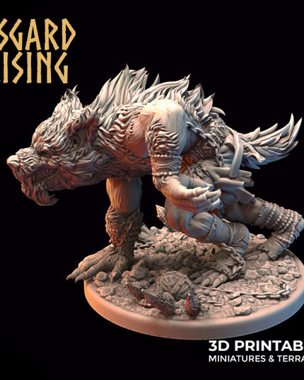 Shapeshifter Ulfhednar (Werewolf)