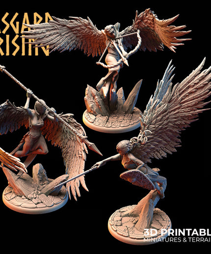 The Winged Valkyries