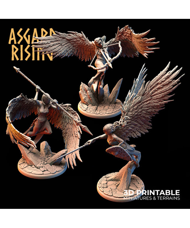 The Winged Valkyries