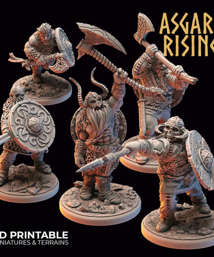 VIKINGS - Warriors Modular Warband