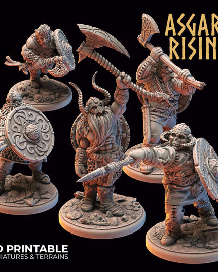 VIKINGS - Warriors Modular Warband