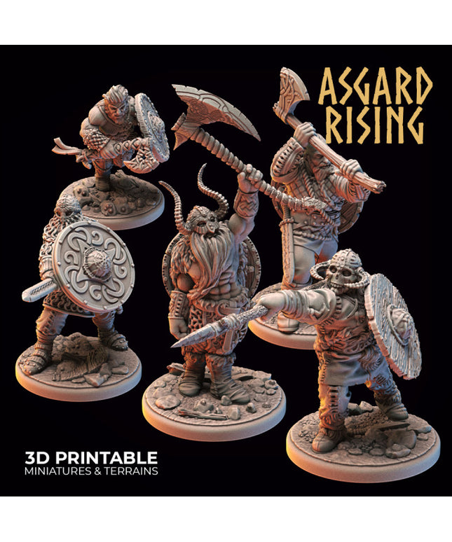 VIKINGS - Warriors Modular Warband