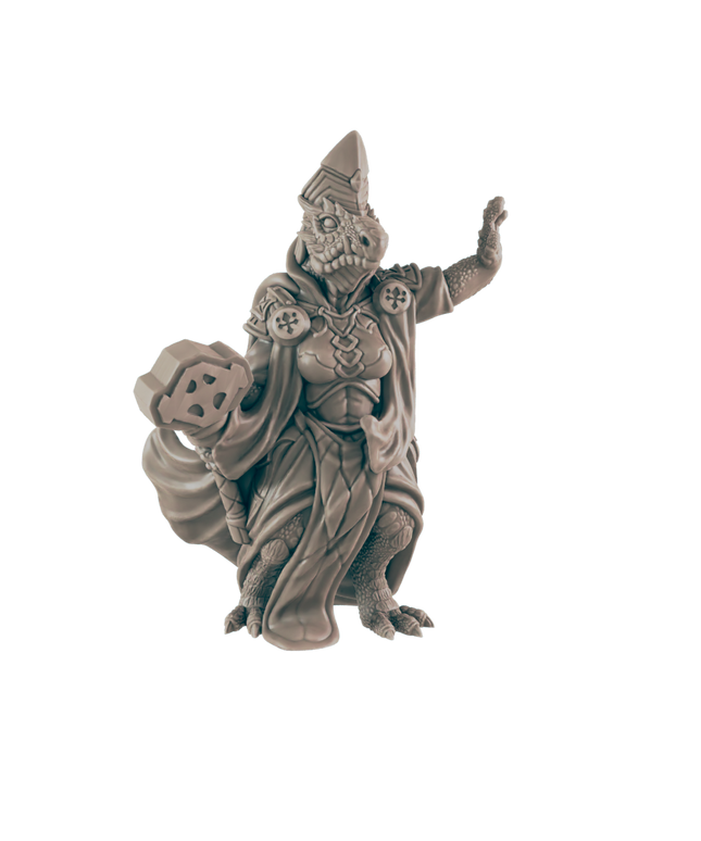 Everyday Heroes / Cleric Dragonkin Female