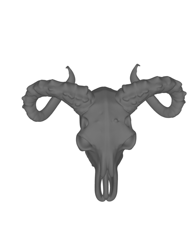 28mm Sci-Fi Animal Skull for Wilderness Settings