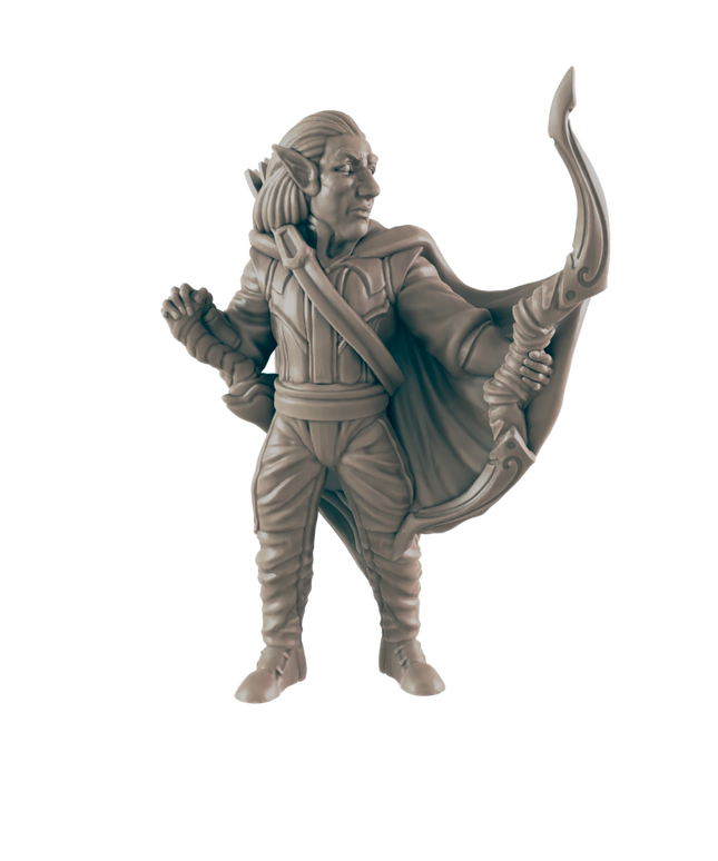 Everyday Heroes / Ranger Elf Male
