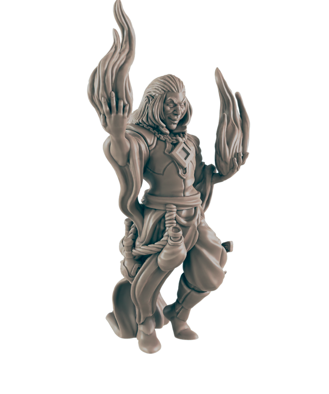 Everyday Heroes / Warlock Elf Male