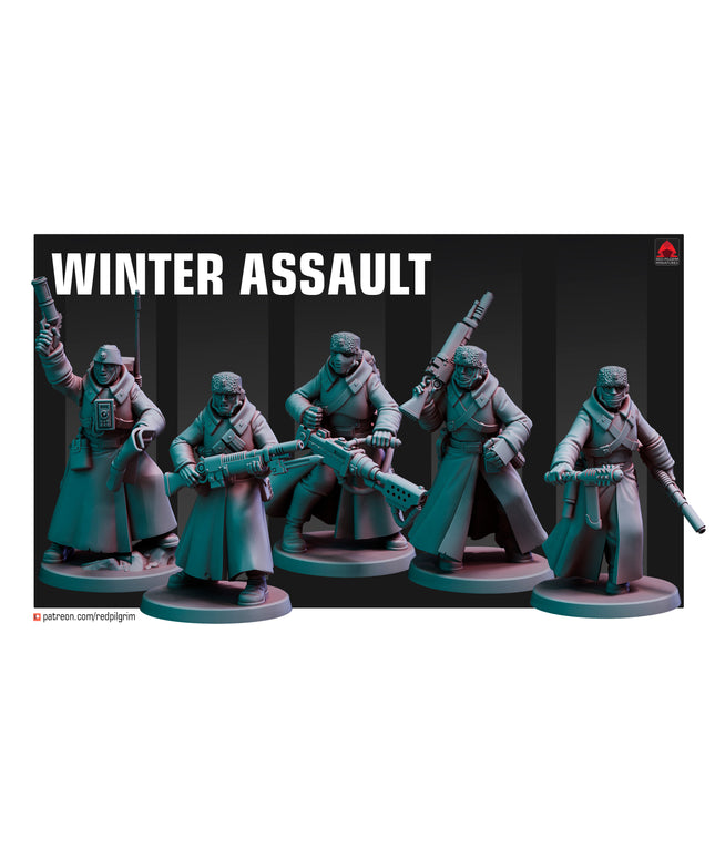 Winter Assault X5 MINIATURES